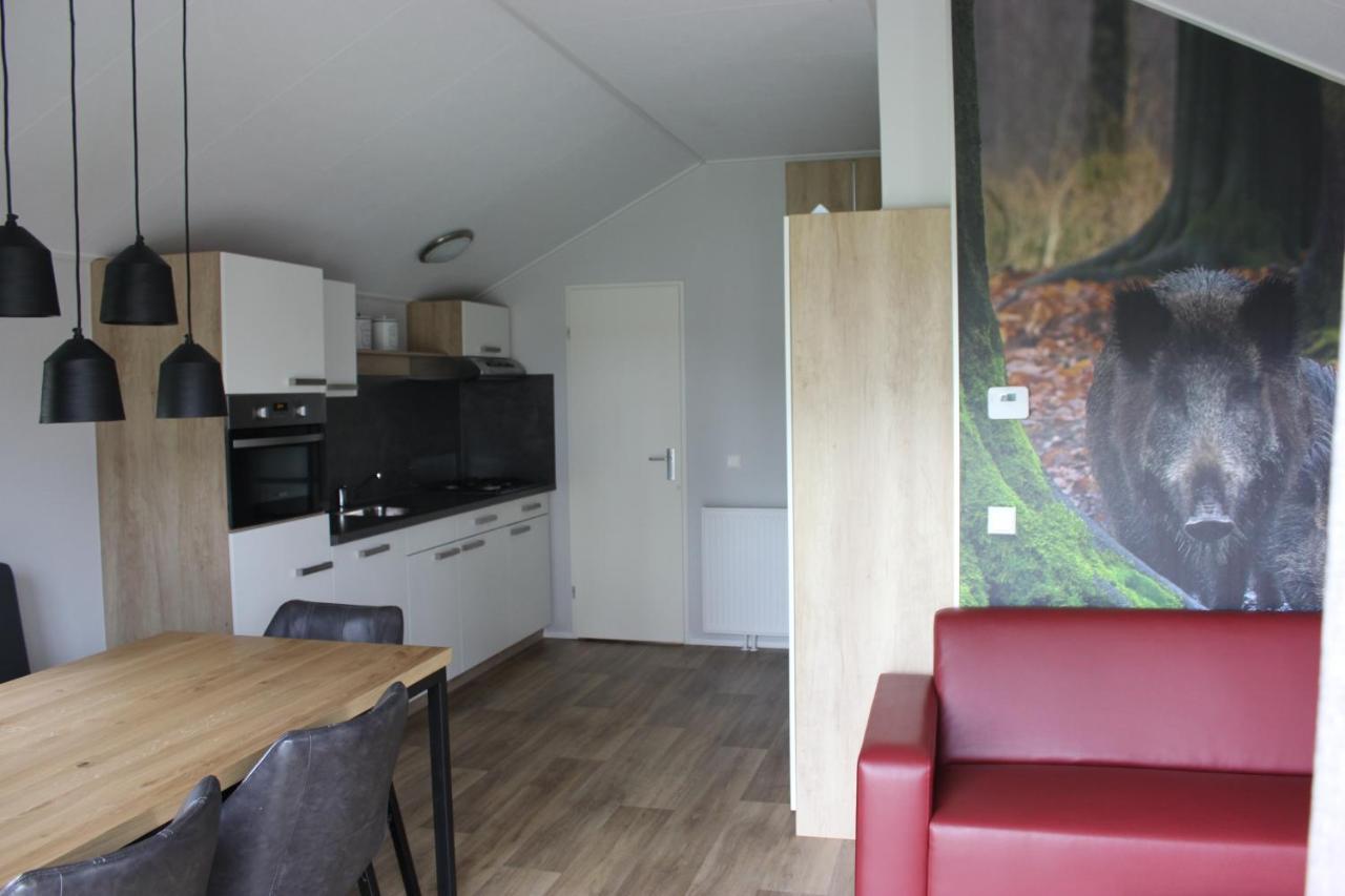 De Bijsselse Enk, Noors Chalet 1 Nunspeet Ngoại thất bức ảnh